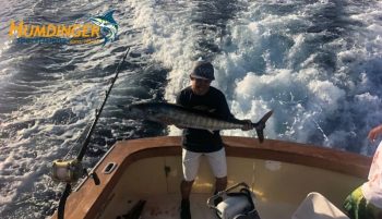 Two Ono and a Blue Marlin