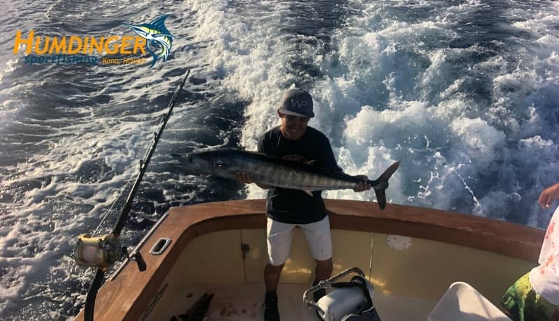Two Ono and a Blue Marlin