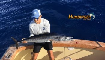 Nice Ono on an Afternoon Fishing Charter
