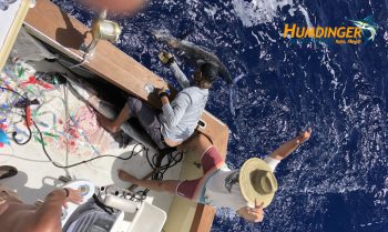 fishing report - September Kona