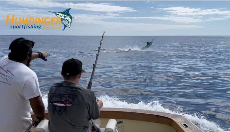 Kona Fishing Blue Marlin